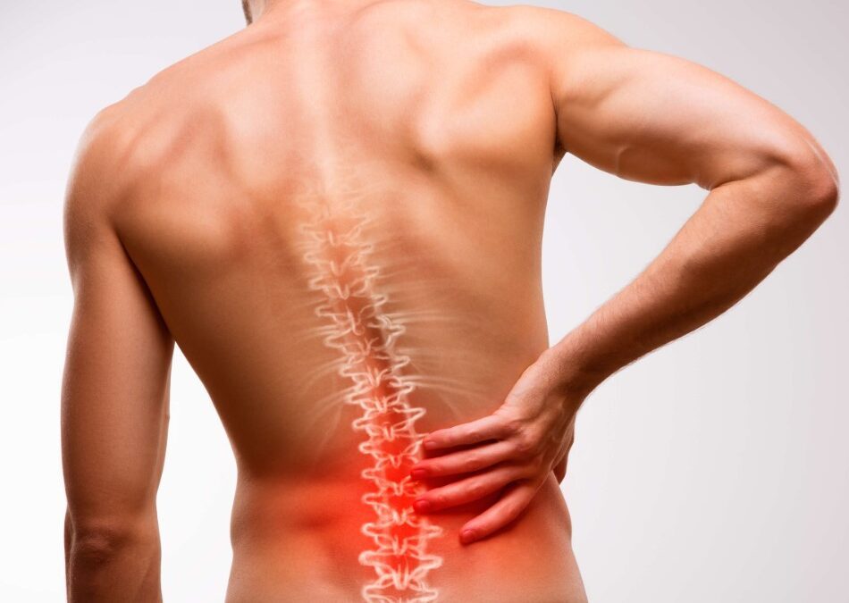 chiropractors for lower back pain